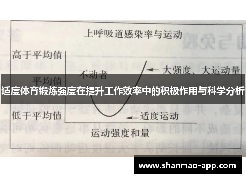 适度体育锻炼强度在提升工作效率中的积极作用与科学分析